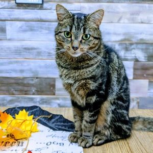 Meet your Posher, Timothy